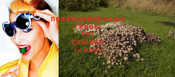 spice Балахна