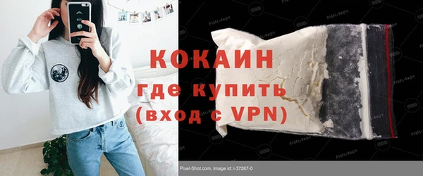 тгк Новодвинск