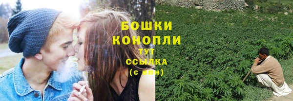 PSILOCYBIN Новозыбков