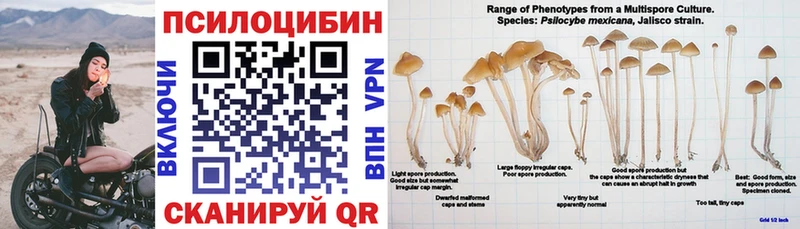 купить  сайты  Барабинск  Галлюциногенные грибы Magic Shrooms 