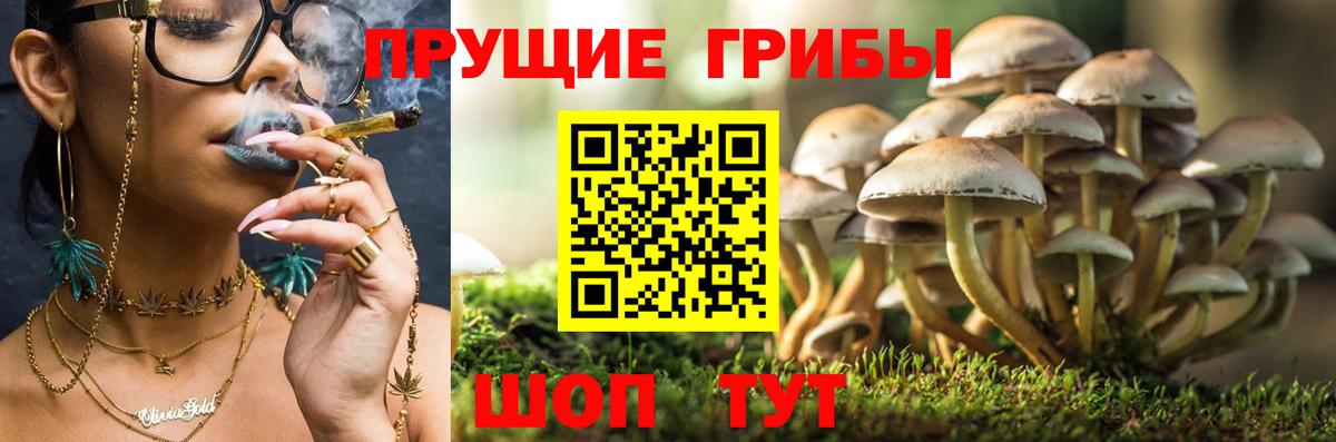 Галлюциногенные грибы Magic Shrooms Барабинск